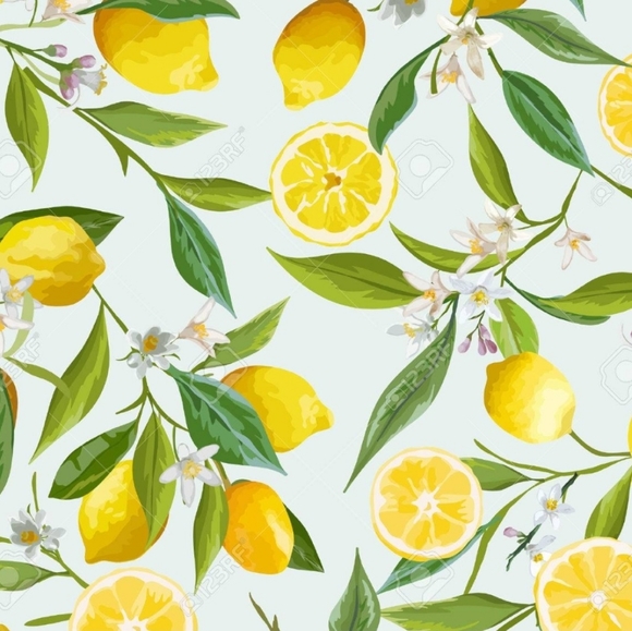 Meet your Posher, Kendall - Picture 1 of 1